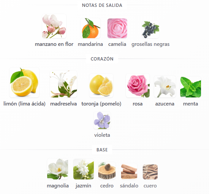 SET TOMMY HILFIGER DAMA