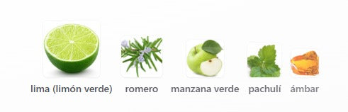 RASASI HAWAS VERDE