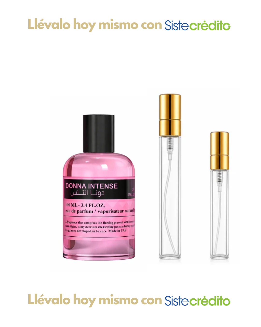 EMPER DONNA INTENSE BY STALLION