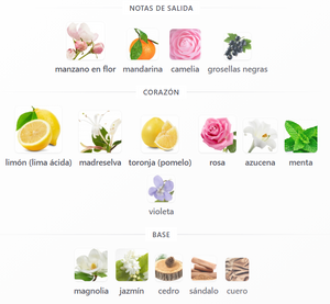 SET TOMMY HILFIGER DAMA