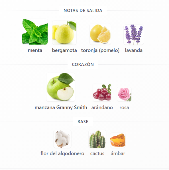 SET TOMMY HILFIGER HOMBRE