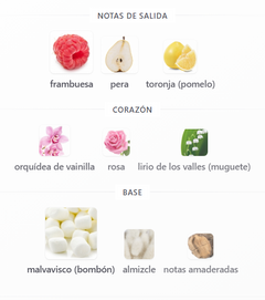 SET ARIANA GRANDE ARI DAMA