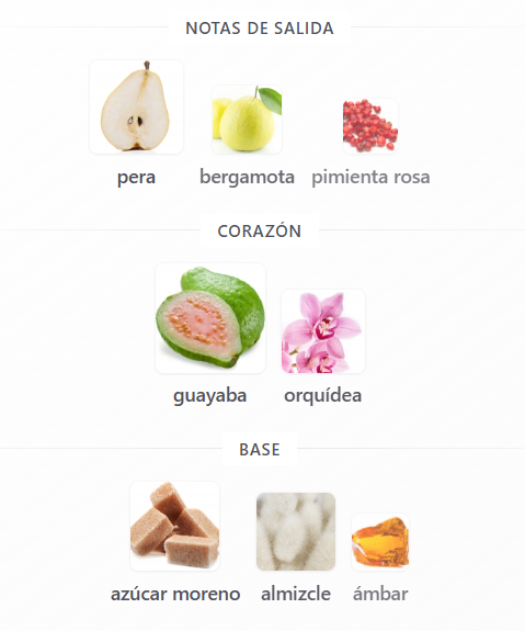 TOUS MORE MORE PINK TOUCH DAMA