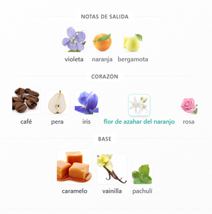 DOLCE GABBANA THE ONLY ONE DAMA