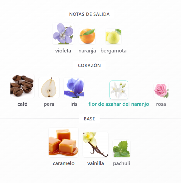 DOLCE GABBANA THE ONLY ONE DAMA