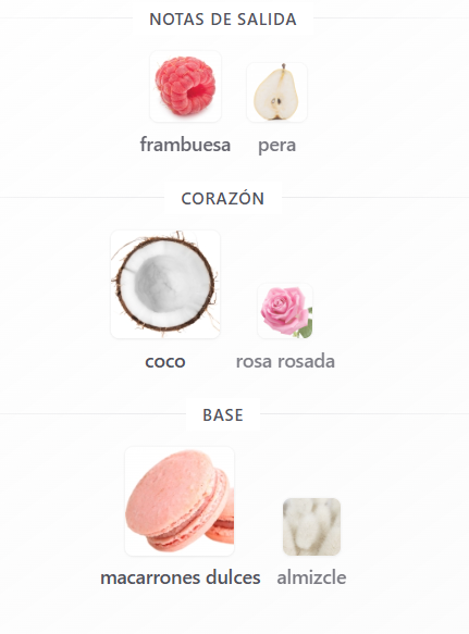 SET ARIANA GRANDE THANK U NEXT DAMA