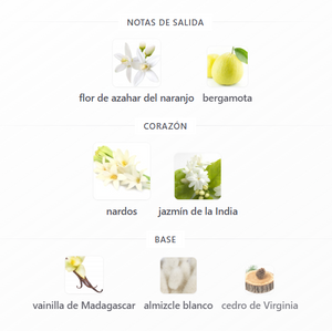 SET GIORGIO ARMANY MY WAY DAMA