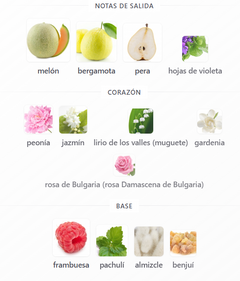SET ANTONIO BANDERAS BLUE SEDUCTION DAMA