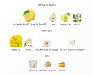 SET VERSACE YELLOW DIAMOND DAMA