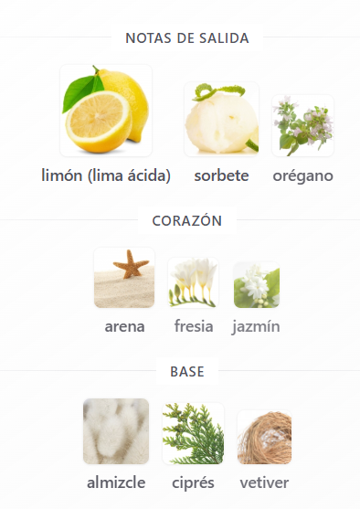 SET MOSCHINO TOY 2 PEARL UNISEX