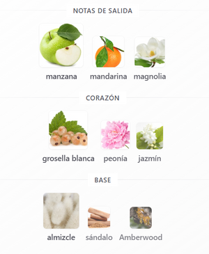 SET MOSCHINO TOY 2 DAMA