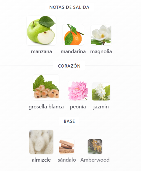 SET MOSCHINO TOY 2 DAMA