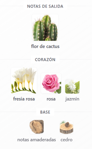 HUGO BOSS BOSS MA VIE DAMA