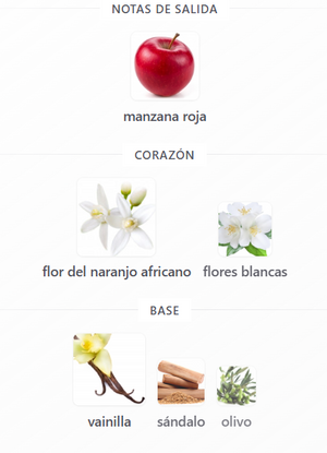 HUGO BOSS ORANGE DAMA