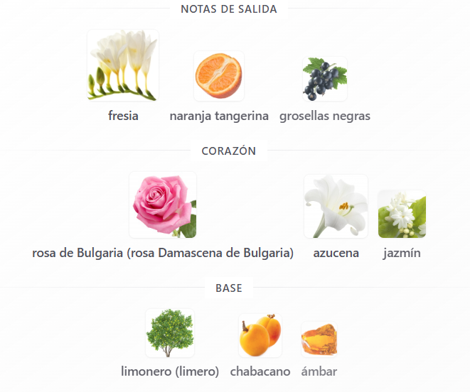 HUGO BOSS FEMME DAMA