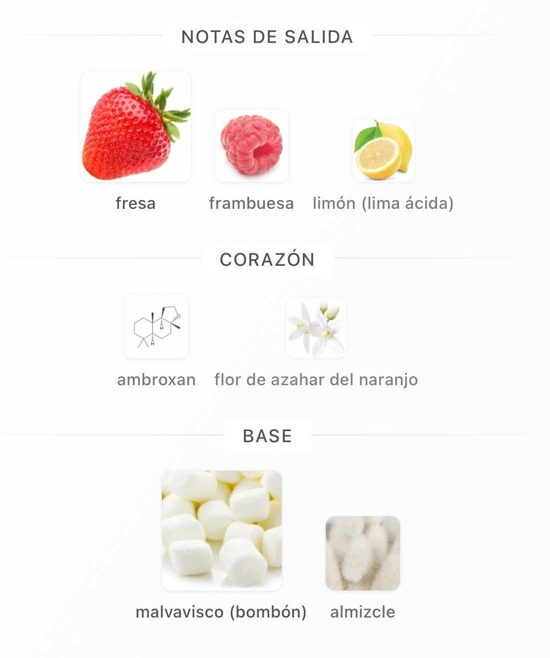 PARIS CORNER MARSHMALLOW BLUSH DAMA