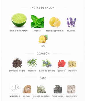 SET LATTAFA MAAHIR LEGACY HOMBRE