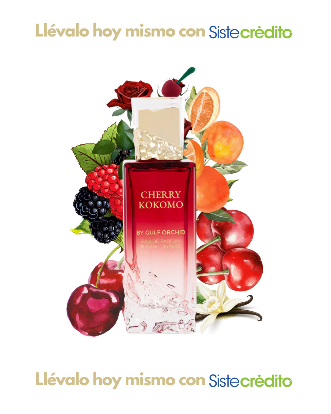 BY GULF ORCHID CHERRY KOKOMO DAMA