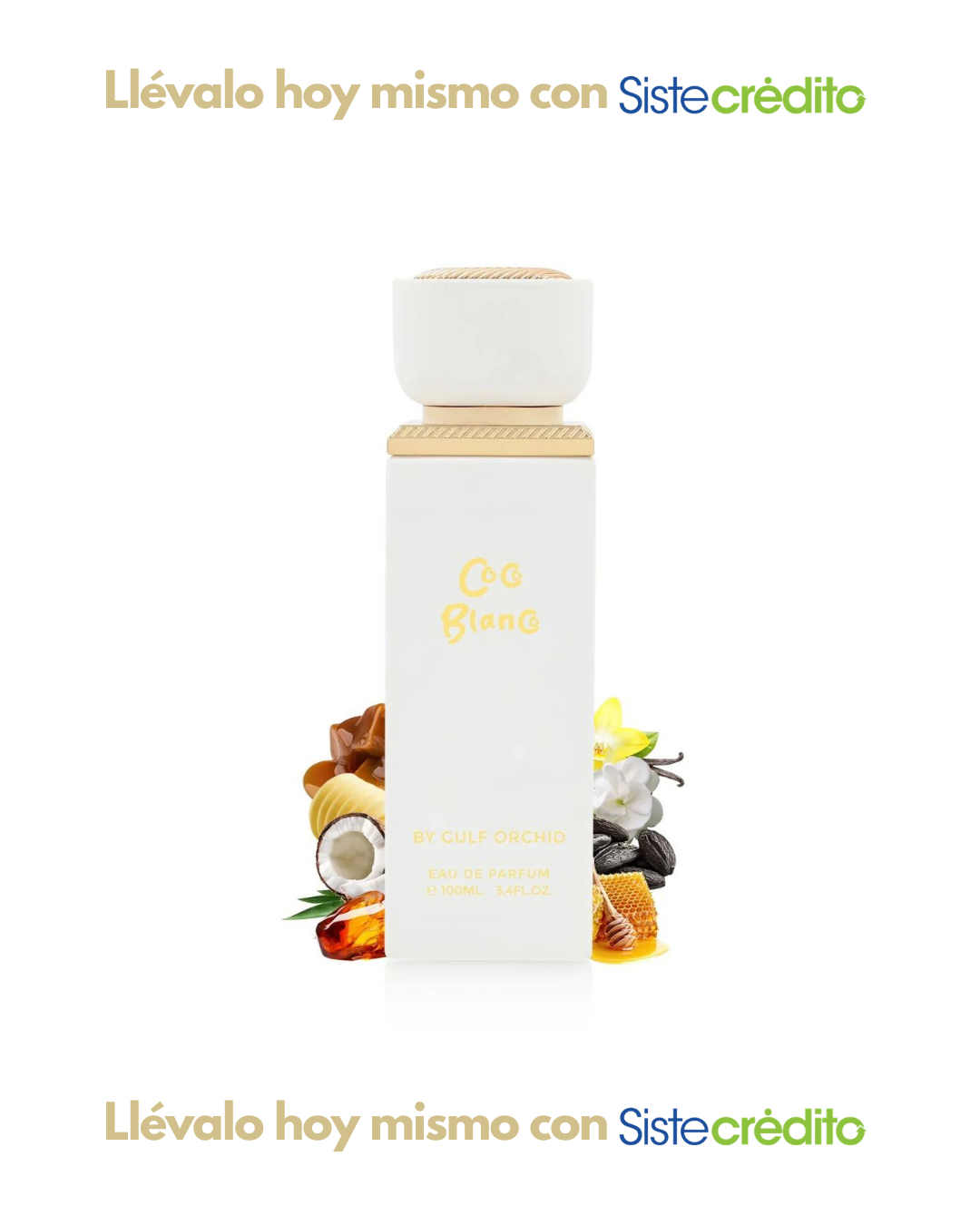 BY GULF ORCHID COCO BLANCO DAMA
