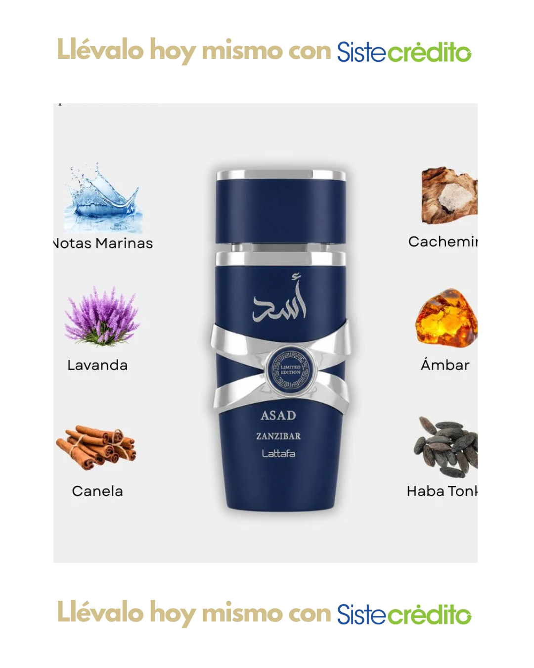 ASAD ZANZIBAR LIMITED EDITION HOMBRE