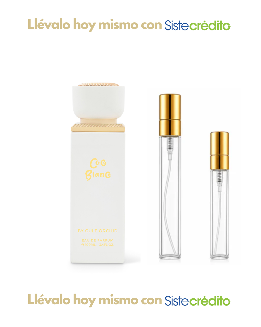 BY GULF ORCHID COCO BLANCO DAMA