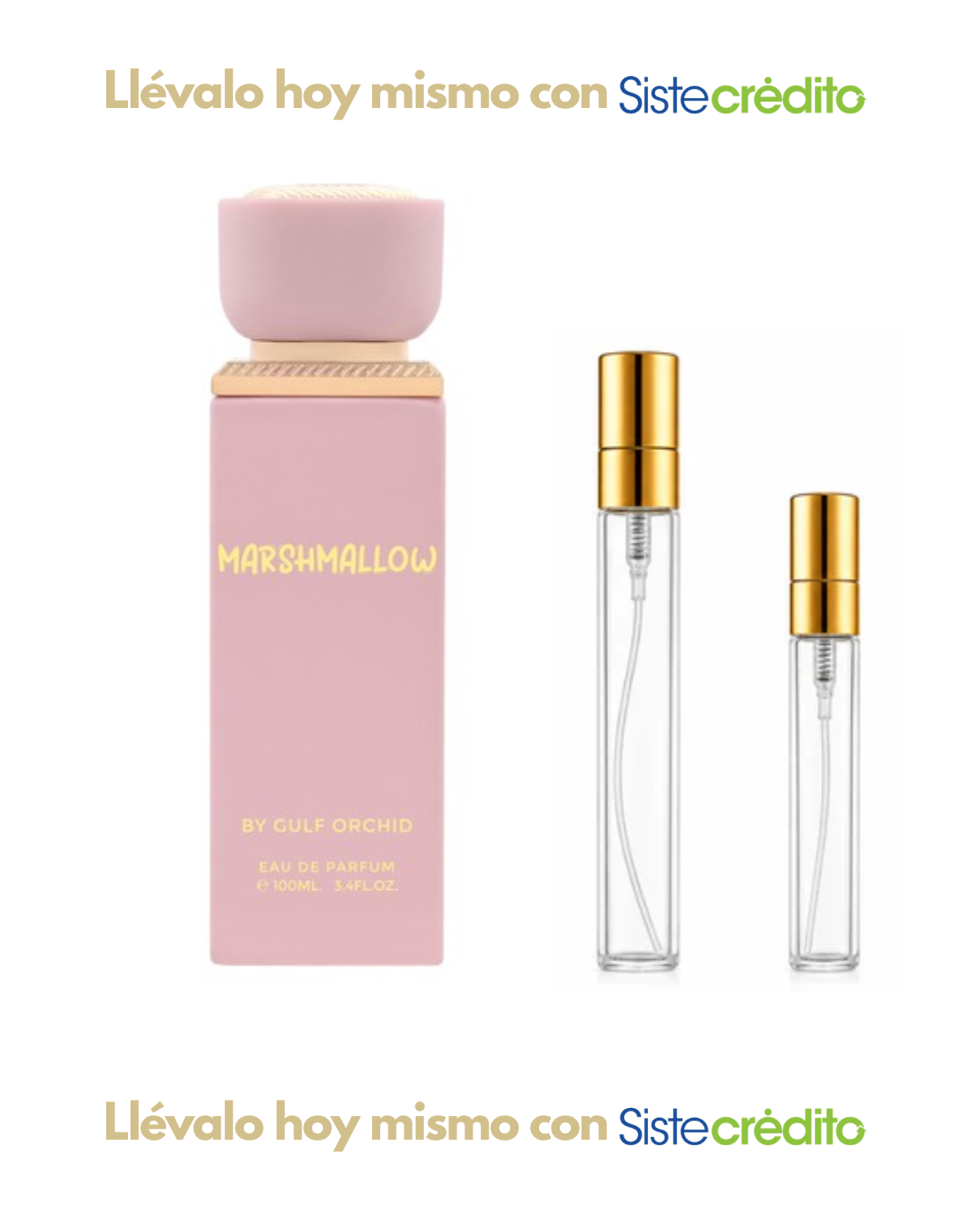 MARSHMALLOW GULF ORCHID DAMA