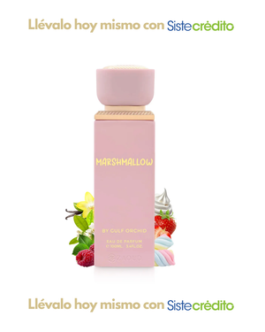 MARSHMALLOW GULF ORCHID DAMA