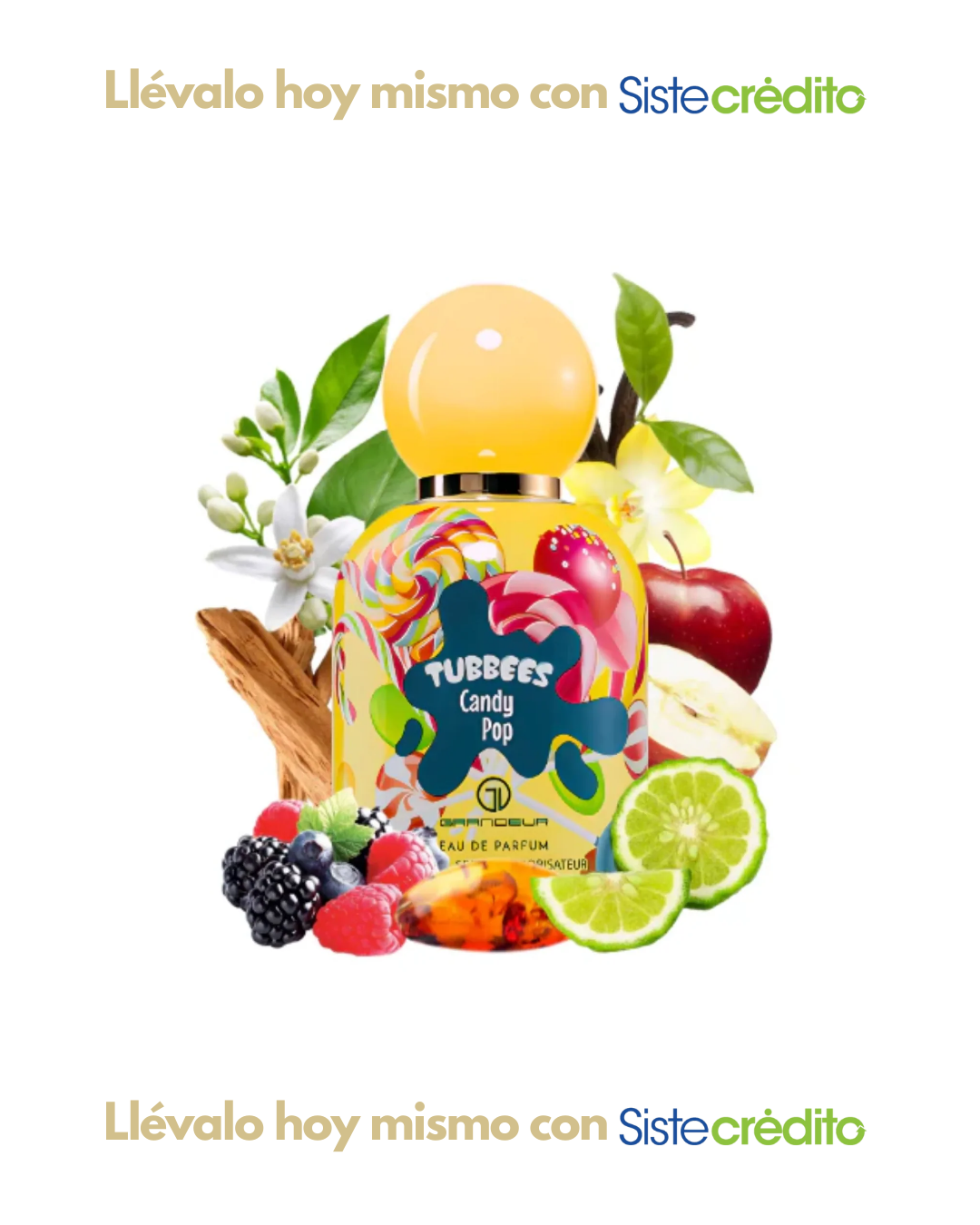 TUBBEES CANDY POP DAMA