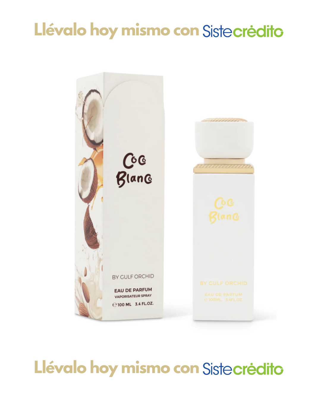 BY GULF ORCHID COCO BLANCO DAMA