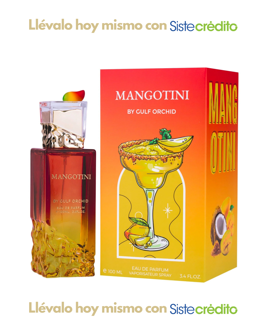 BY GULF ORCHID MANGOTINI DAMA