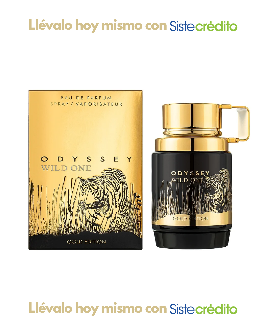 ARMAF ODYSSEY WILD ONE