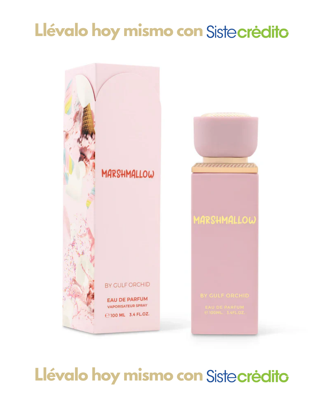 MARSHMALLOW GULF ORCHID DAMA
