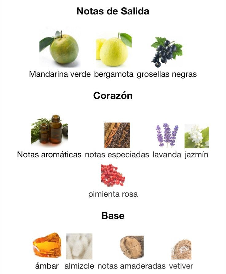 Imagen adicional MAISON ALHAMBRA SCEPTRE MALACHITE UNISEX