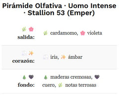 EMPER UOMO INTENSE BY STALLION 53