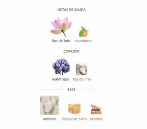 SET BVLGARI OMNIA CRYSTALLINE DAMA